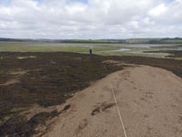 Nature Diary Nigel Mortimer | Surveying the Saltstone